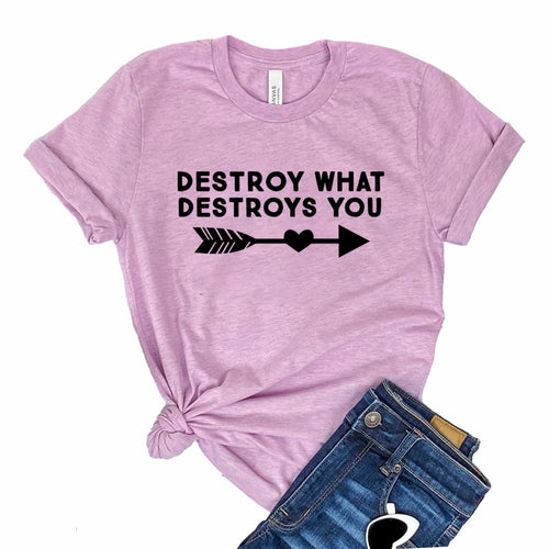 Destroy What Destroys You T-shirt