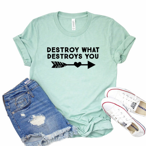 Destroy What Destroys You T-shirt